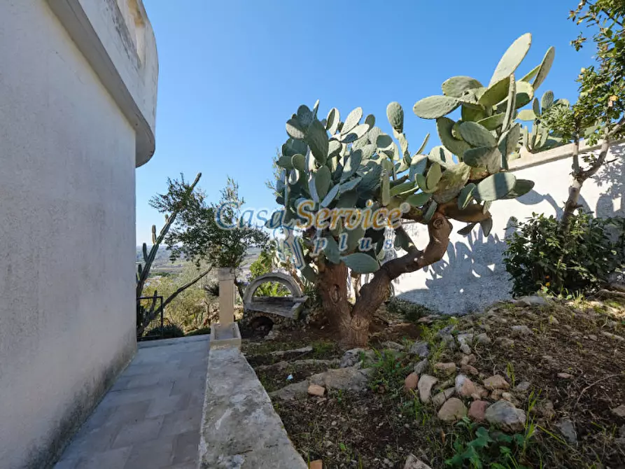 Immagine 60 di Villa in vendita  in Viale Grotta Sant'Ermete a Matino