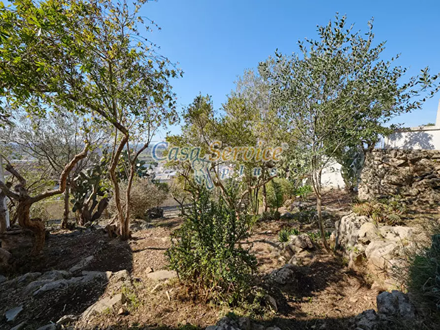 Immagine 62 di Villa in vendita  in Viale Grotta Sant'Ermete a Matino