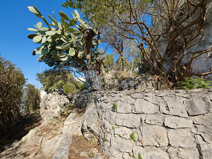 Immagine 67 di Villa in vendita  in Viale Grotta Sant'Ermete a Matino