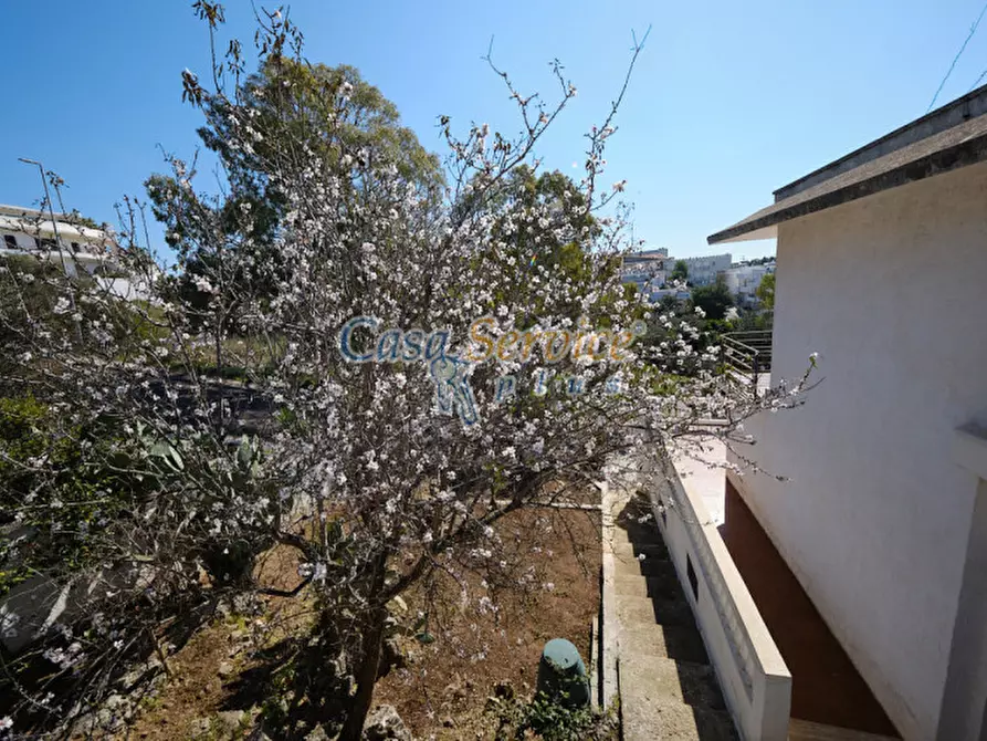 Immagine 73 di Villa in vendita  in Viale Grotta Sant'Ermete a Matino