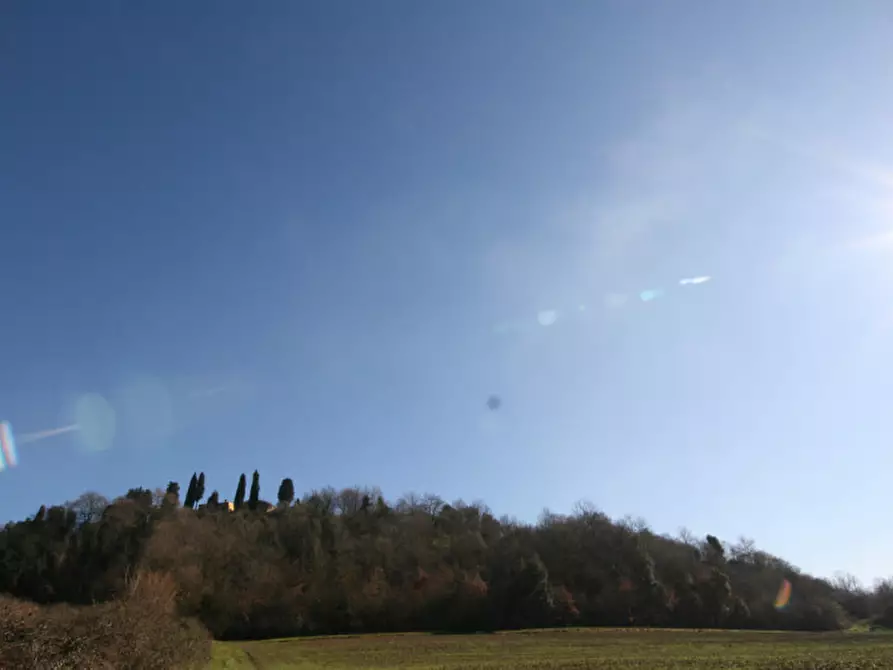 Immagine 3 di Terreno in vendita  a Sinalunga
