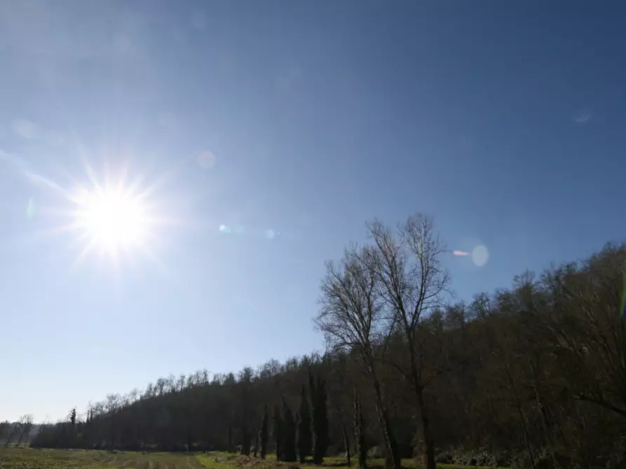 Immagine 6 di Terreno in vendita  a Sinalunga