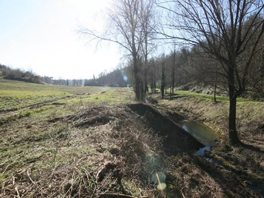 Immagine 10 di Terreno in vendita  a Sinalunga
