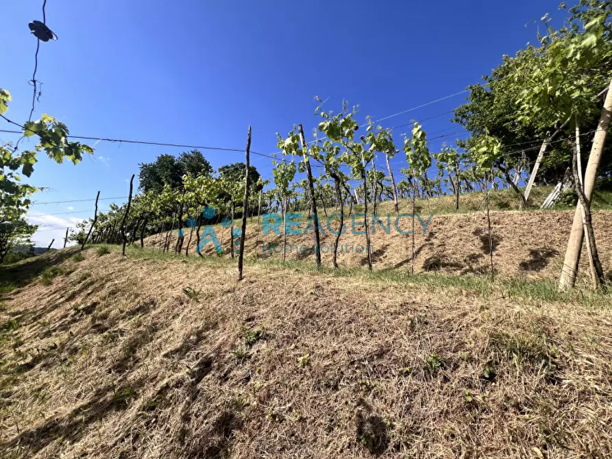 Immagine 38 di Rustico / casale in vendita  in Via Marangoni 4 a Zermeghedo
