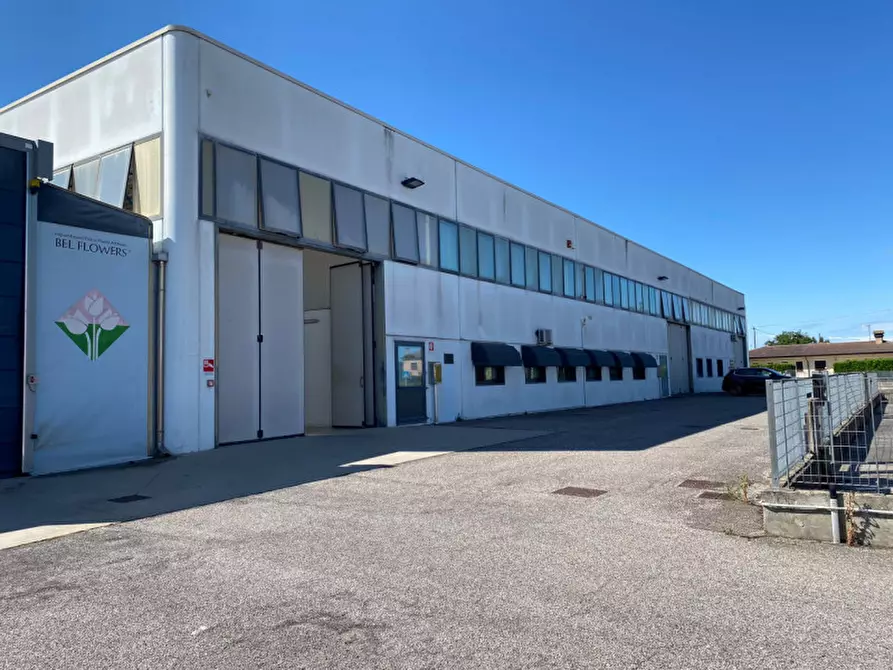 Immagine 2 di Capannone industriale in affitto  in Via Dante Alighieri a Pontelongo