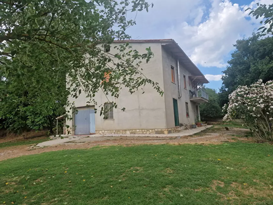 Immagine 2 di Casa indipendente in vendita  a Lucignano