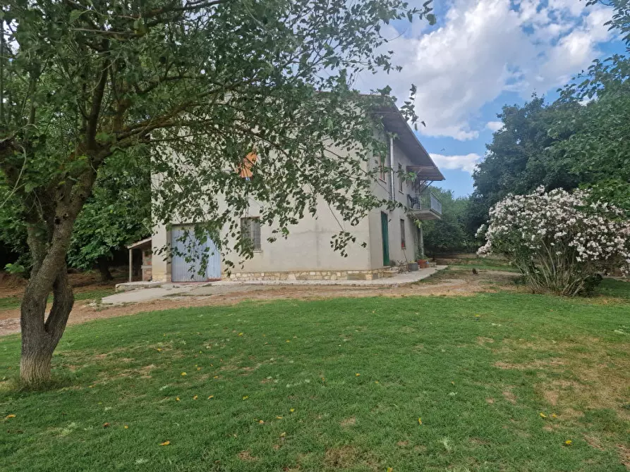 Immagine 3 di Casa indipendente in vendita  a Lucignano