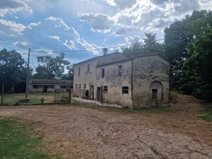 Immagine 1 di Rustico / casale in vendita  a Lucignano