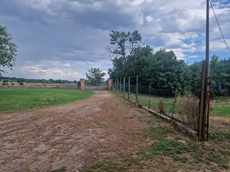 Immagine 6 di Rustico / casale in vendita  a Lucignano