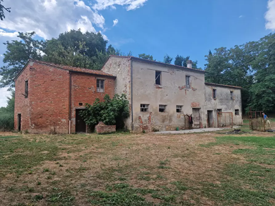 Immagine 9 di Rustico / casale in vendita  a Lucignano