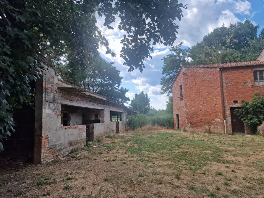 Immagine 10 di Rustico / casale in vendita  a Lucignano
