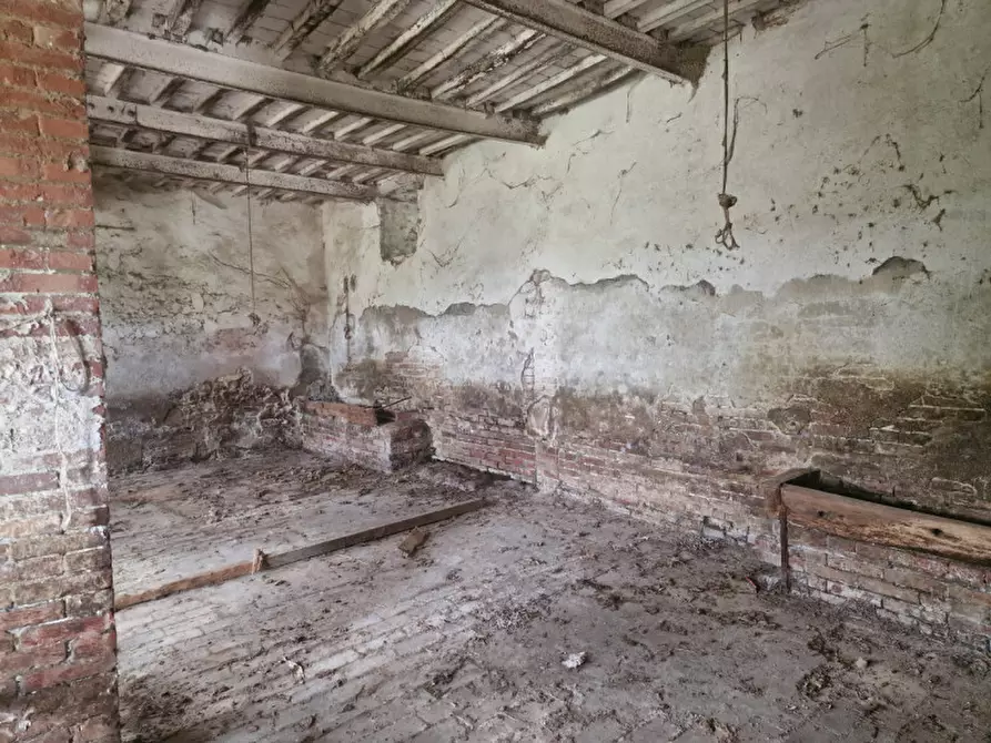 Immagine 16 di Rustico / casale in vendita  a Lucignano