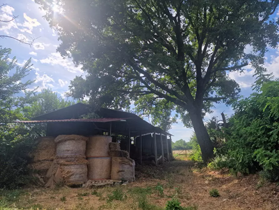 Immagine 23 di Rustico / casale in vendita  a Lucignano