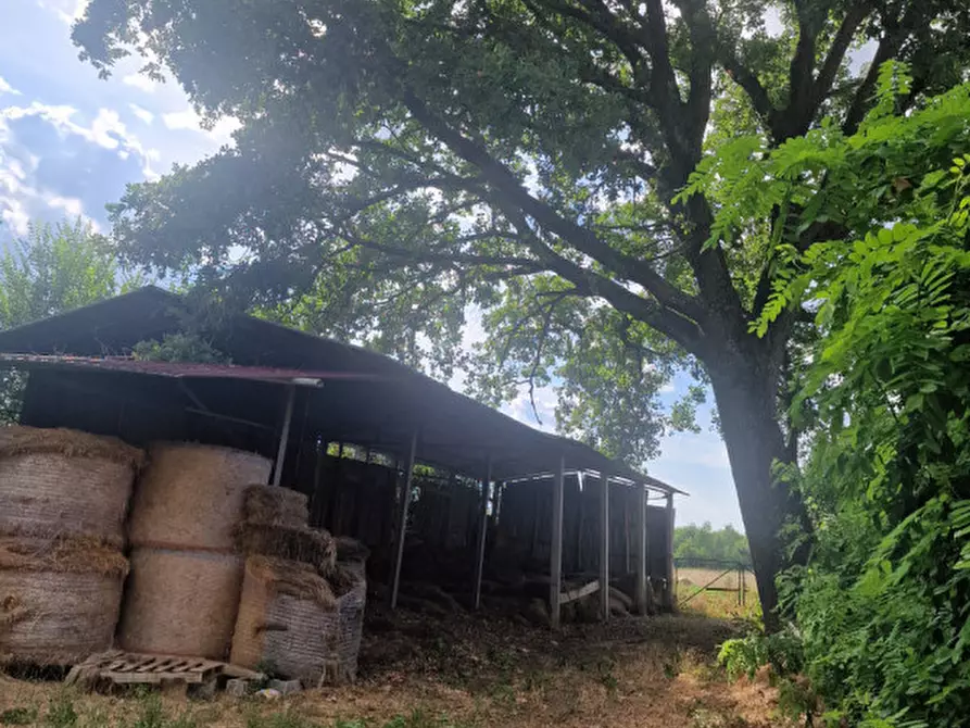 Immagine 24 di Rustico / casale in vendita  a Lucignano