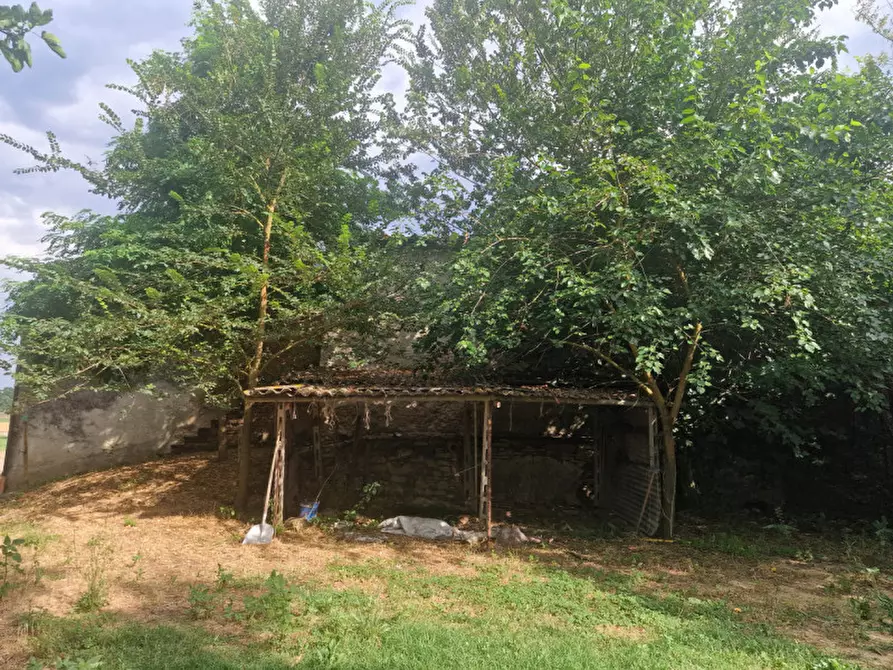 Immagine 25 di Rustico / casale in vendita  a Lucignano