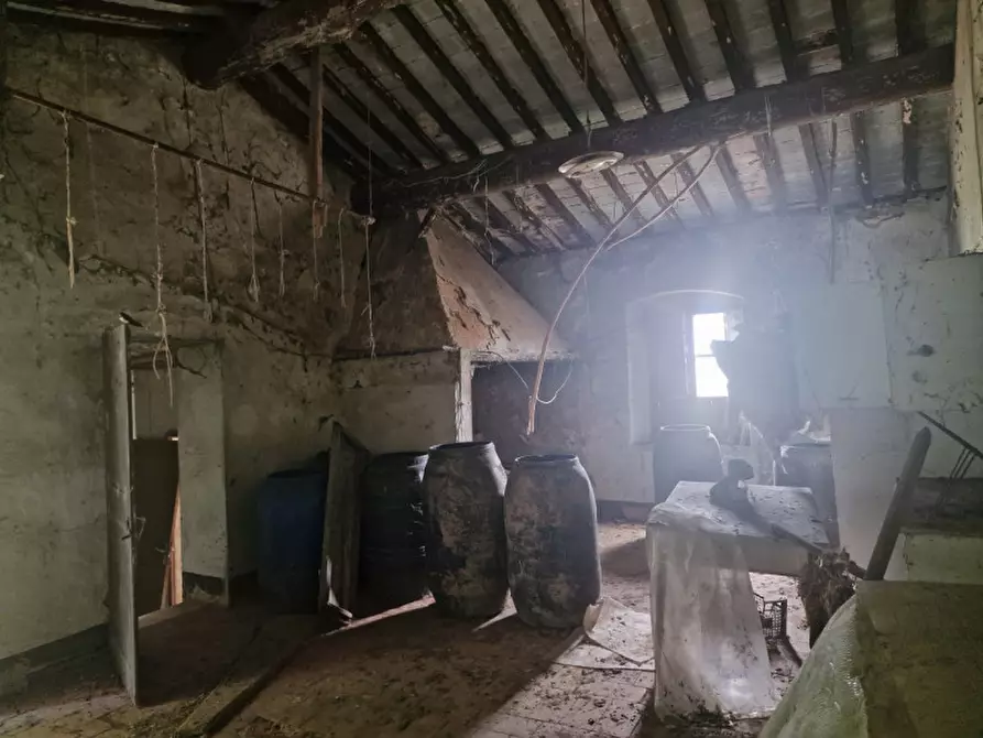 Immagine 28 di Rustico / casale in vendita  a Lucignano