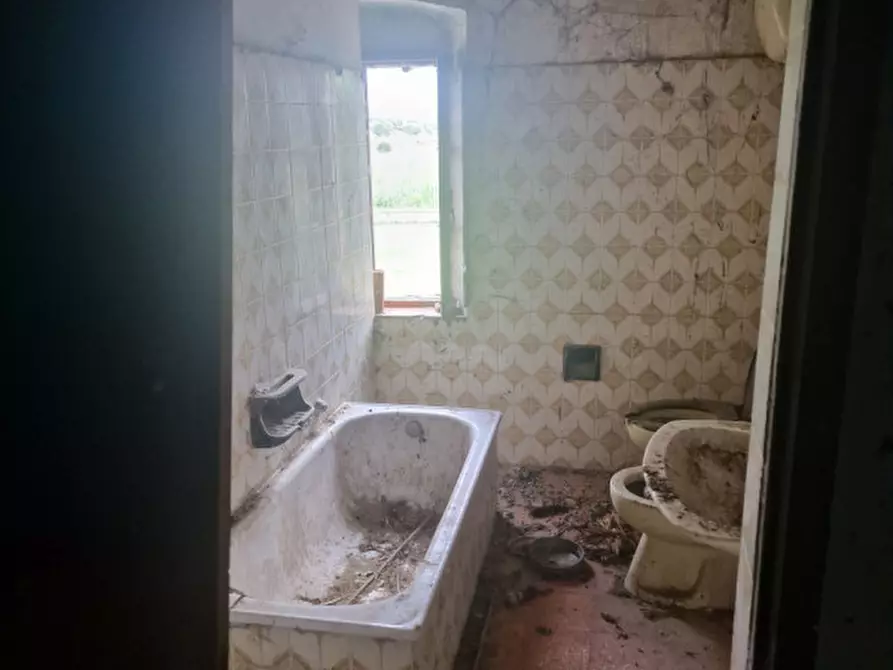 Immagine 34 di Rustico / casale in vendita  a Lucignano