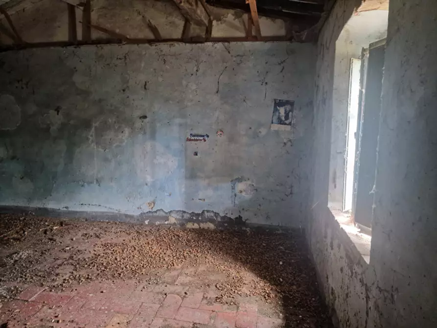 Immagine 37 di Rustico / casale in vendita  a Lucignano