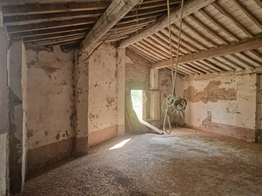 Immagine 43 di Rustico / casale in vendita  a Lucignano