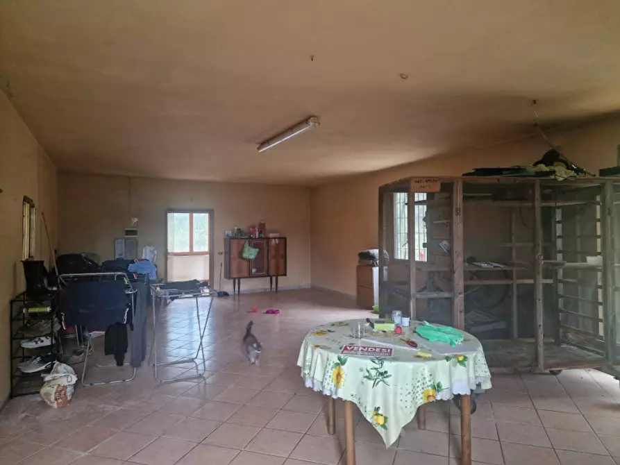 Immagine 6 di Rustico / casale in vendita  a Lucignano