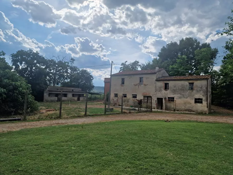 Immagine 31 di Rustico / casale in vendita  a Lucignano
