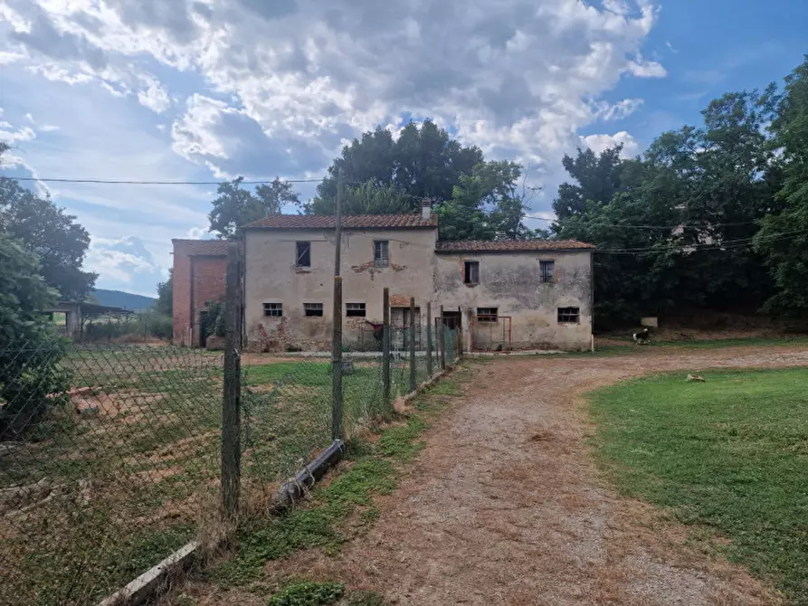 Immagine 32 di Rustico / casale in vendita  a Lucignano