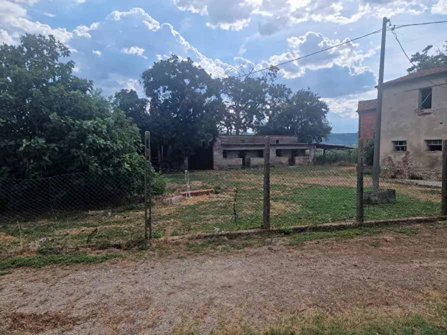 Immagine 33 di Rustico / casale in vendita  a Lucignano