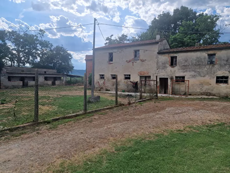 Immagine 34 di Rustico / casale in vendita  a Lucignano