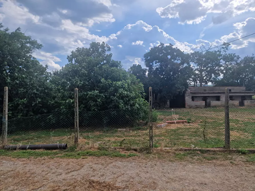 Immagine 35 di Rustico / casale in vendita  a Lucignano