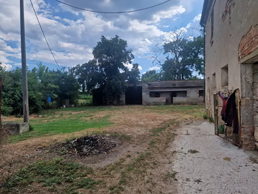 Immagine 37 di Rustico / casale in vendita  a Lucignano