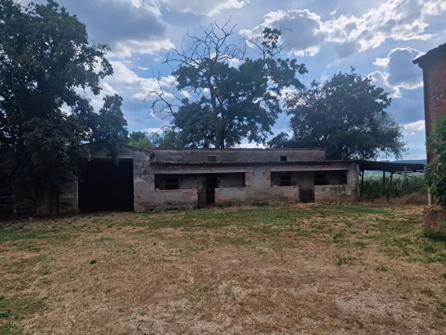Immagine 38 di Rustico / casale in vendita  a Lucignano