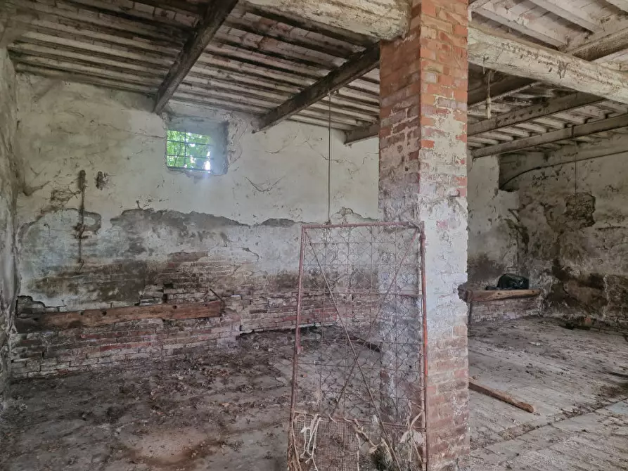 Immagine 43 di Rustico / casale in vendita  a Lucignano