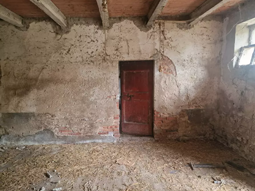Immagine 48 di Rustico / casale in vendita  a Lucignano