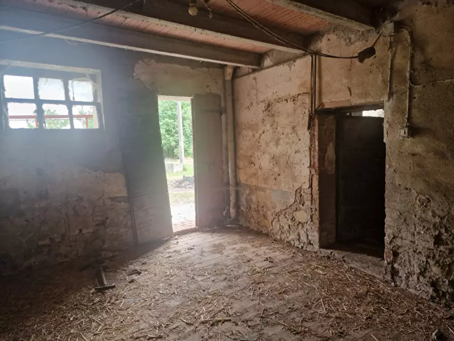 Immagine 49 di Rustico / casale in vendita  a Lucignano