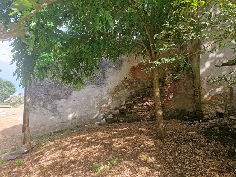 Immagine 54 di Rustico / casale in vendita  a Lucignano