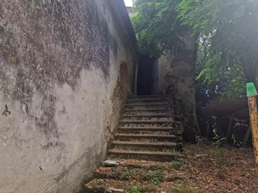 Immagine 58 di Rustico / casale in vendita  a Lucignano
