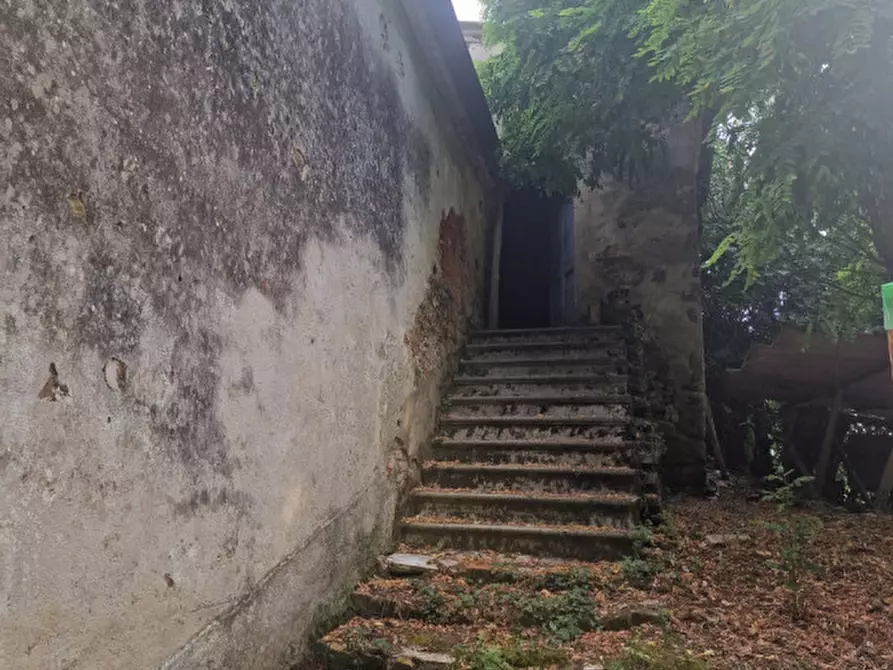 Immagine 59 di Rustico / casale in vendita  a Lucignano