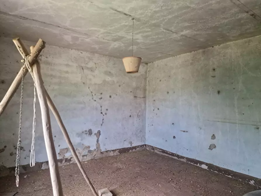 Immagine 62 di Rustico / casale in vendita  a Lucignano