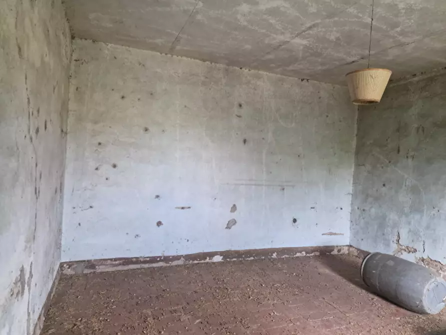 Immagine 63 di Rustico / casale in vendita  a Lucignano