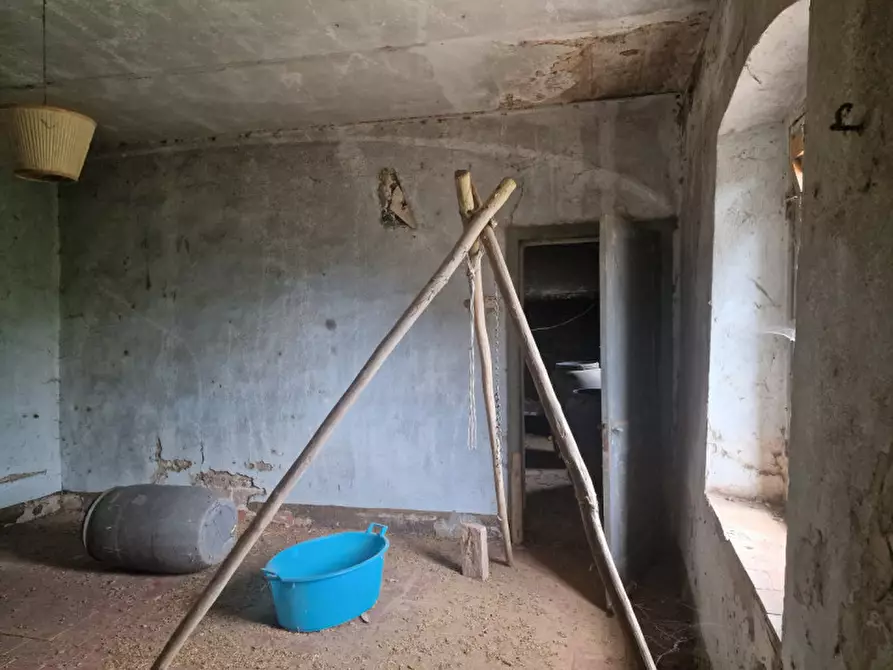 Immagine 64 di Rustico / casale in vendita  a Lucignano