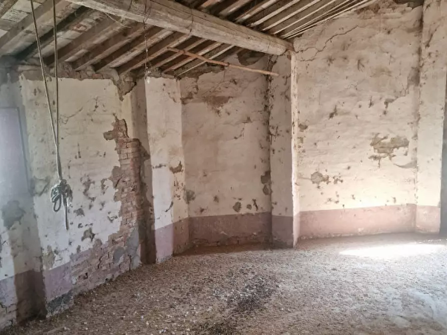 Immagine 73 di Rustico / casale in vendita  a Lucignano