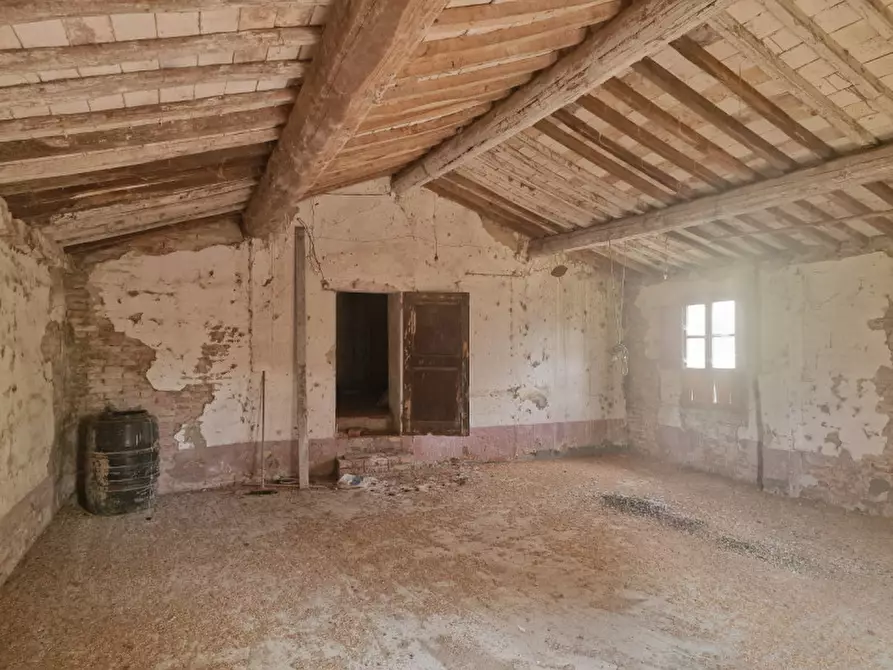 Immagine 76 di Rustico / casale in vendita  a Lucignano