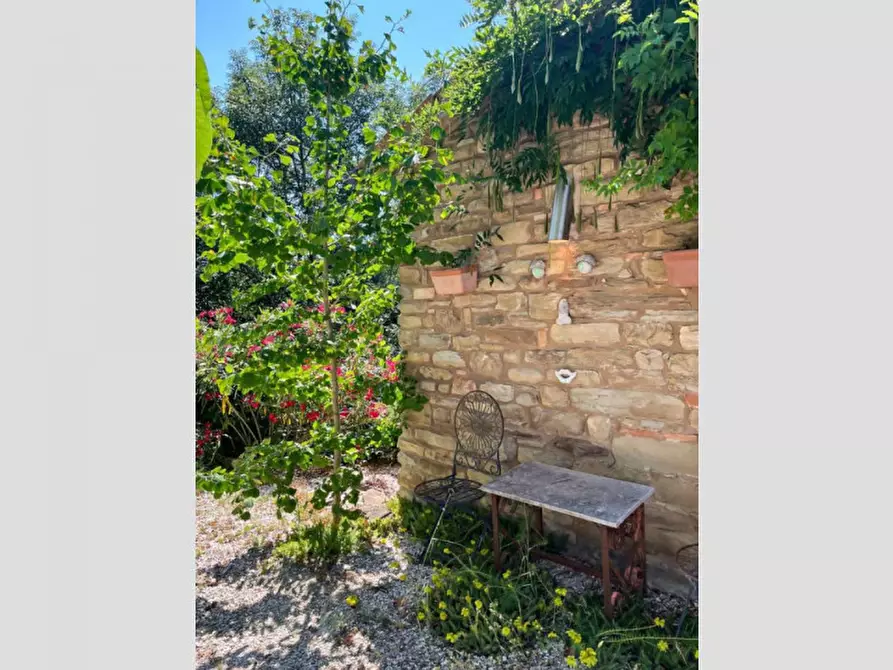 Immagine 23 di Rustico / casale in vendita  in Ca' Gnolo a Sassocorvaro Auditore