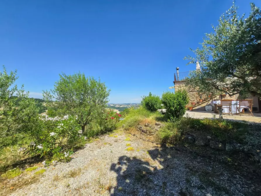 Immagine 29 di Rustico / casale in vendita  in Ca' Gnolo a Sassocorvaro Auditore