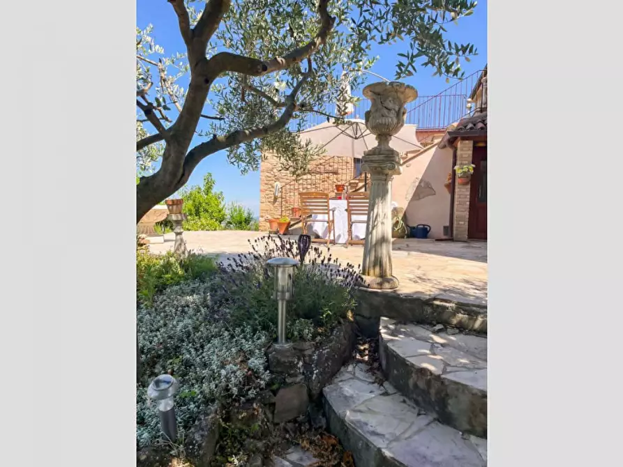 Immagine 33 di Rustico / casale in vendita  in Ca' Gnolo a Sassocorvaro Auditore