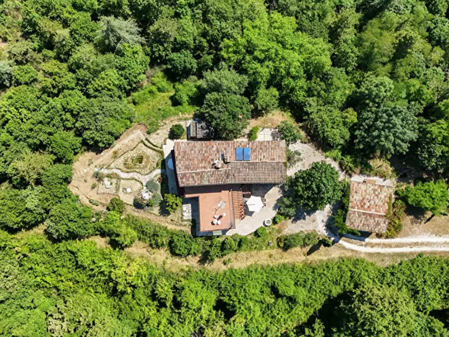 Immagine 38 di Rustico / casale in vendita  in Ca' Gnolo a Sassocorvaro Auditore