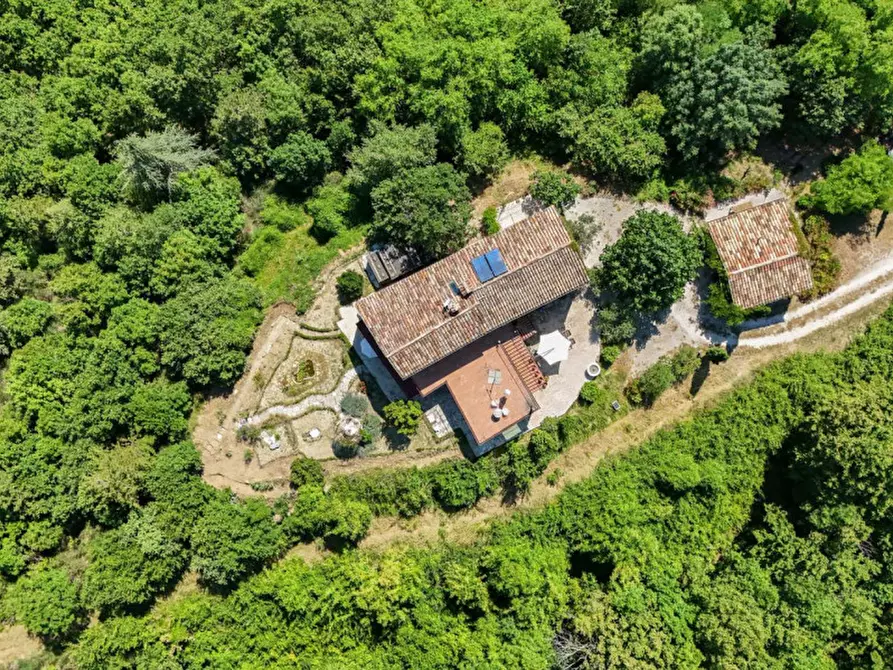 Immagine 39 di Rustico / casale in vendita  in Ca' Gnolo a Sassocorvaro Auditore