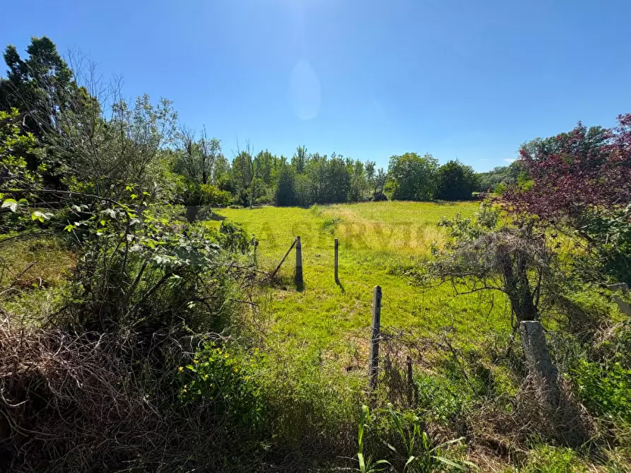 Immagine 12 di Villetta a schiera in vendita  in via Agogna n° 2 a Sannazzaro De' Burgondi