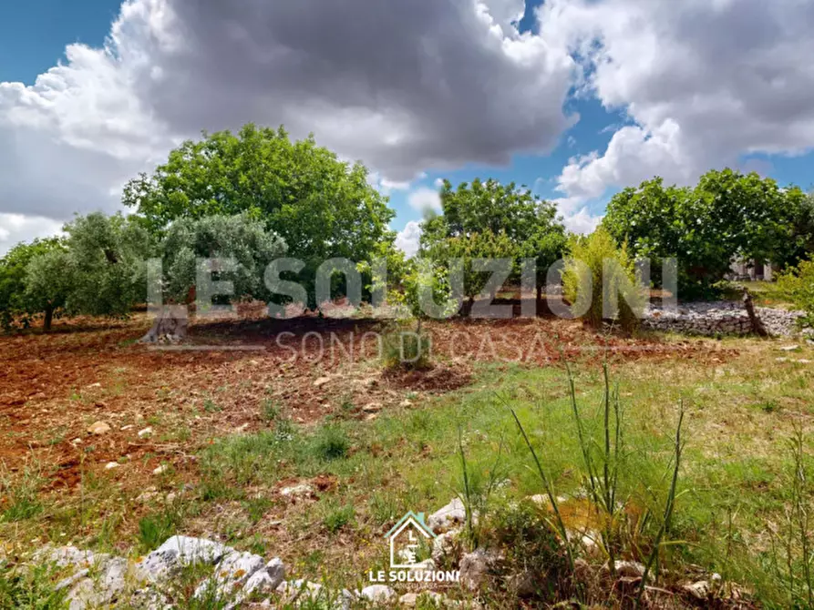 Immagine 9 di Rustico / casale in vendita  in Contrada Foggia di Totaro a Castellana Grotte