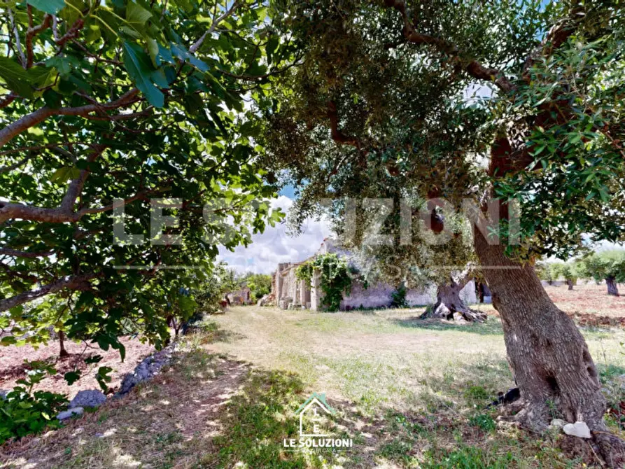 Immagine 14 di Rustico / casale in vendita  in Contrada Foggia di Totaro a Castellana Grotte